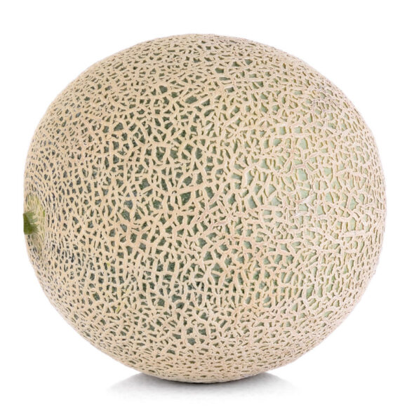 Squash Chayote - وێنە 4